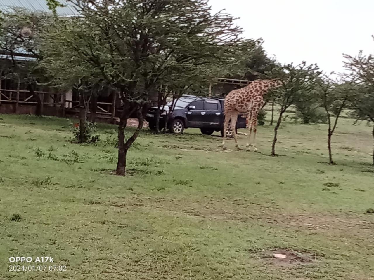 Narasha Homestay - Maasai Mara Talek Room photo