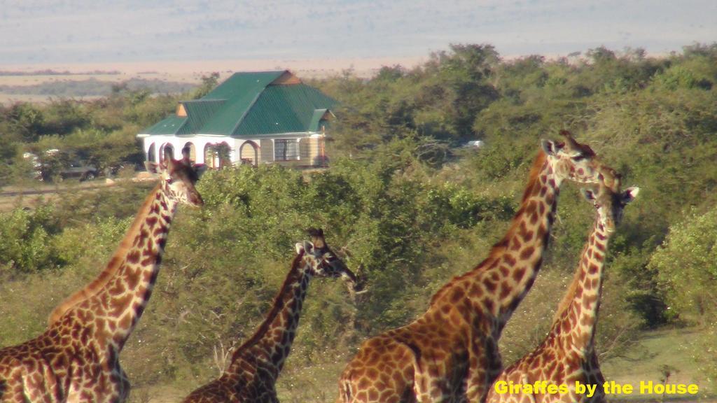 Narasha Homestay - Maasai Mara Talek Exterior photo